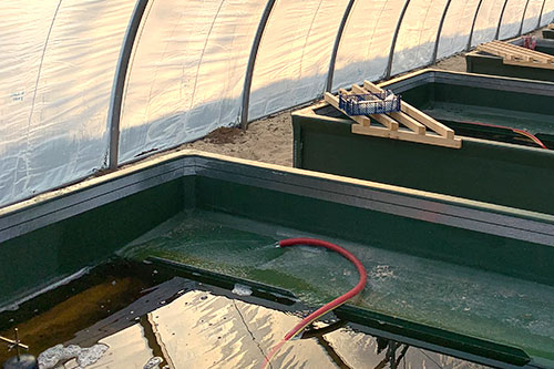 bi 2107 teiche rafalzik02 500