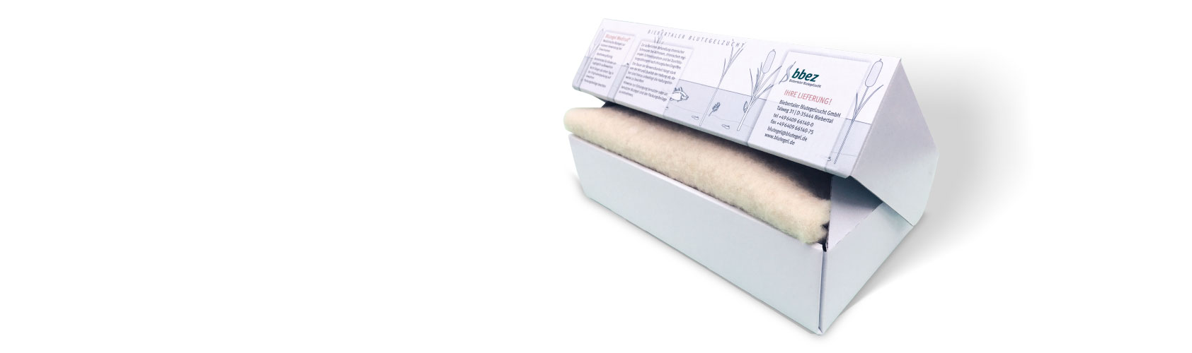 Die neuen Folienhäuser der bbez