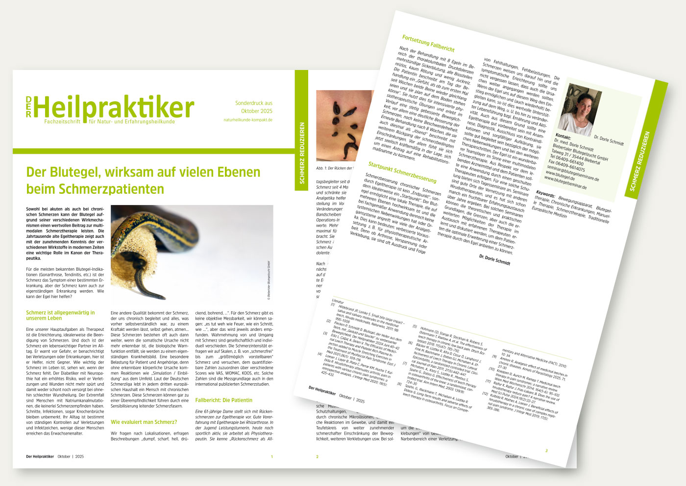 bi 2510 Artikel Therapie bbi dezember 2025 blutegeltherapie 1400