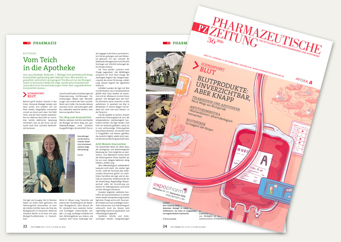 bi 2510 Artikel Therapie bbi dezember 2025 blutegeltherapie 1400